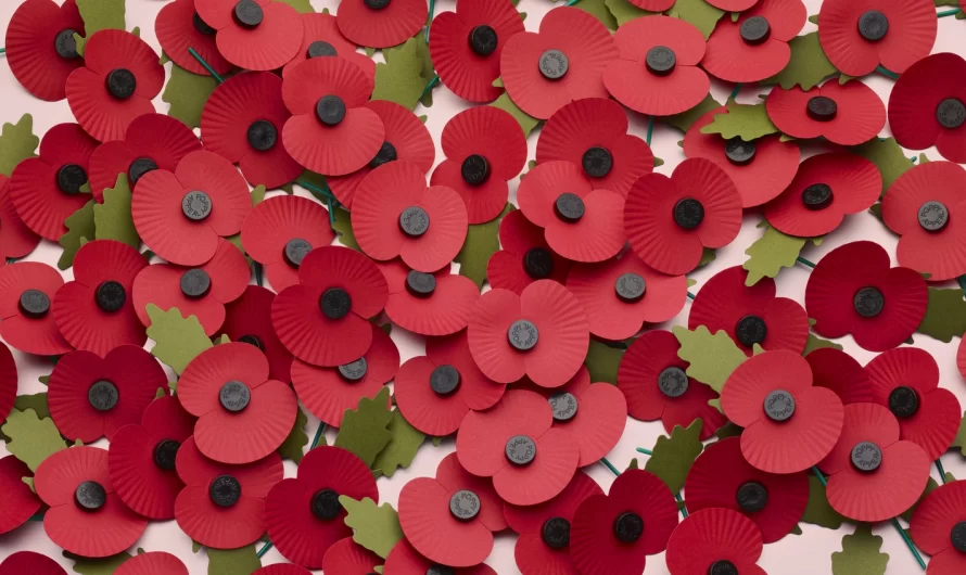 Remembrance Sunday – 13 Nov’ 2022