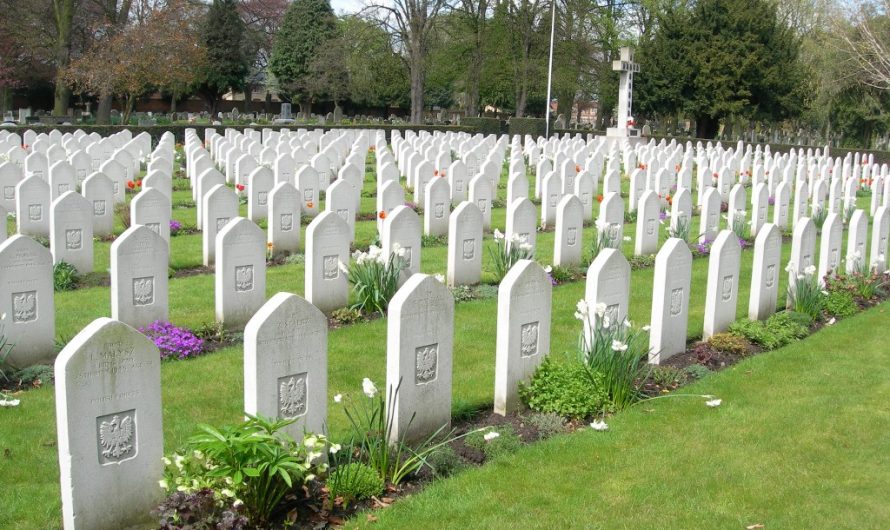 Torch of Commemoration by Commonwealth War Graves (D-Day)